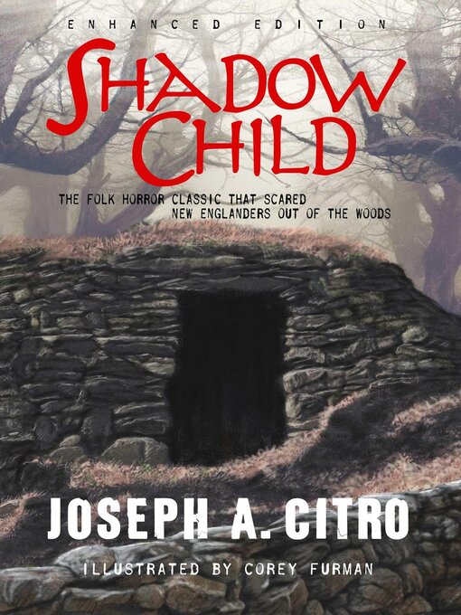 Cover image for Shadow Child